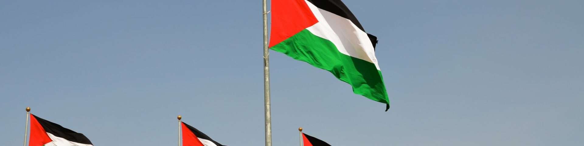 Drapeaux palestiniens